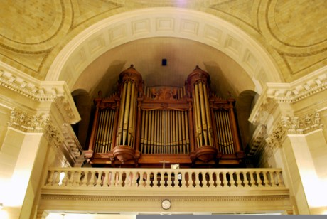 organ